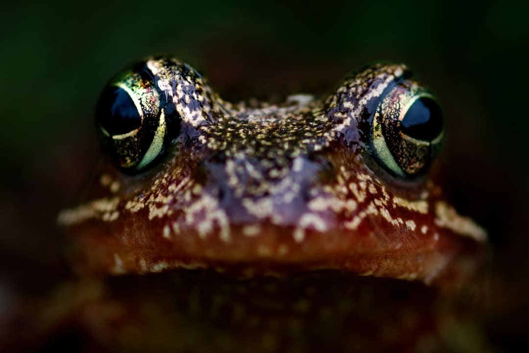 https://img3.utuku.imgcdc.com/650x0/news/20250902/6d9d82f2-65f8-4024-aa30-eb3dac9df9fb.jpg